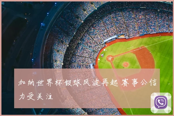 加纳世界杯假球风波再起 赛事公信力受关注