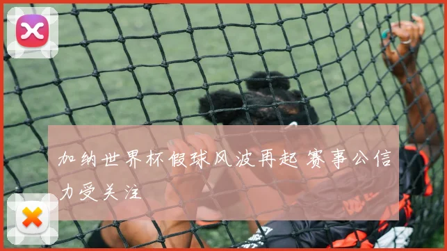 加纳世界杯假球风波再起 赛事公信力受关注