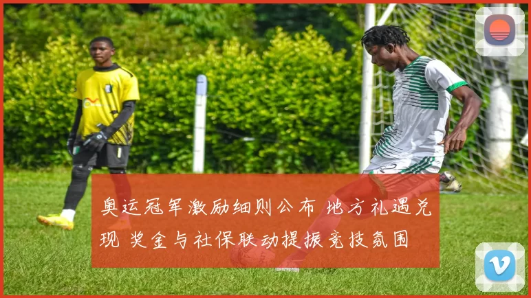 奥运冠军激励细则公布 地方礼遇兑现 奖金与社保联动提振竞技氛围