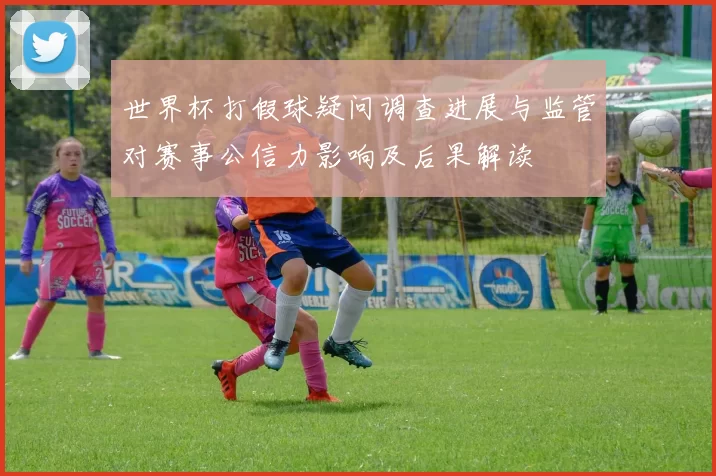 世界杯打假球疑问调查进展与监管对赛事公信力影响及后果解读